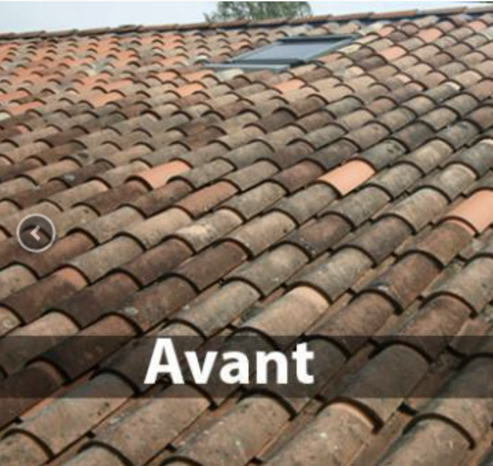 avant demoussage toiture